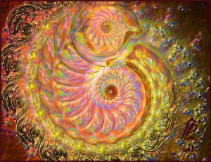 A Magical House Warming Gift Idea For Every Budget : The Celtic House Warming Snail A Magical House Warming Gift Idea For Every Budget : The Celtic House Warming Snail