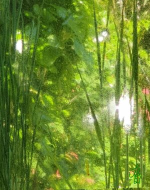 The Journey The Journey