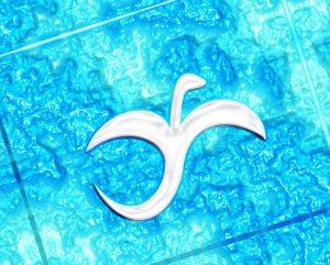 The Silver Dragon The Silver Dragon