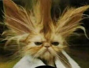 Bad Hair Day? You Need The Genius Symbols! Bad Hair Day? You Need The Genius Symbols!