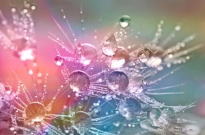 Funeral Poem For An Artist Funeral Poem For An Artist